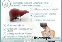 7 claves para entender y tratar la relación  entre el hígado y el dolor de espalda