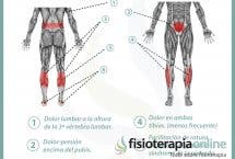 Relación entre vejiga y dolor de piernas y espalda