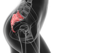 Fractura de cóccix. ¿Cómo me puedo romper el cóccix? ¿Cómo tratarlo?