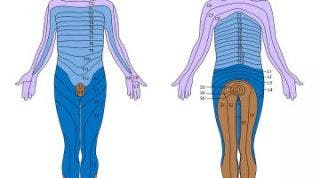 ¿Qué es la Dermo-Neuro-Modulación y cuáles son sus beneficios?