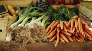 Importancia de la nutrición en el dolor