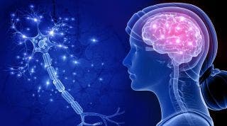 Señales que indican el Alzheimer y cómo la terapia con animales puede ayudar Señales que indican el Alzheimer y cómo la terapia con animales puede ayudar