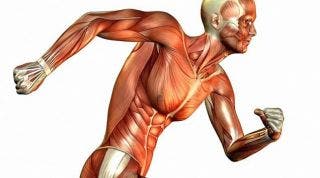 Análisis de la postura corporal a través de las cadenas GDS y su uso en fisioterapia Análisis de la postura corporal a través de las cadenas GDS y su uso en fisioterapia