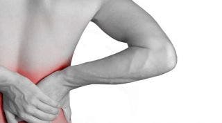Tres músculos clave en el tratamiento del dolor lumbar o lumbalgia.