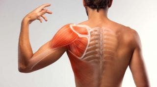 Ejercicios y estiramientos para evitar que aparezca el dolor de hombro