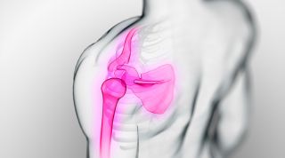 ¿Cómo cura nuestro organismo una fractura o fisura ósea?