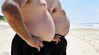 Todo sobre la grasa abdominal