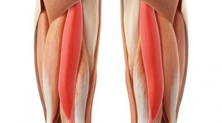 Readaptación ante una rotura de fibras del bíceps femoral de un futbolista (Parte I)