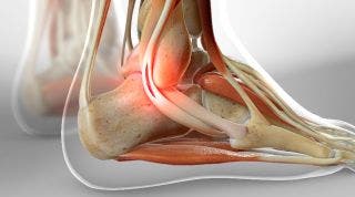 5 Curiosidades que no sabías sobre los ligamentos, su estructura y su funcionamiento