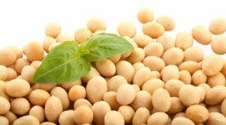 La suplementación con isoflavonas en la osteoporosis y la menopausia ¿es útil? La suplementación con isoflavonas en la osteoporosis y la menopausia ¿es útil?