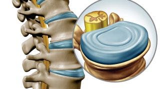 6 Curiosidades que no sabías sobre las vértebras, su anatomía y funcionamiento