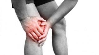 Importancia de la grasa de Hoffa en el dolor anterior de la rodilla 