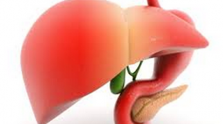 El hígado y la salud de todo el organismo