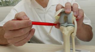 Relación entre la alimentación y el desgaste del cartílago: claves para proteger tus rodillas
