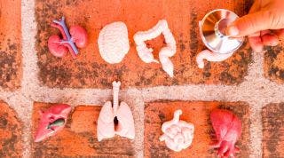 Disfunciones viscerales y su relación con el dolor músculo-esquelético