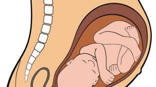 Cambios anatómicos y fisiológicos durante el parto