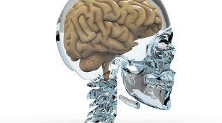 Cerebro y ordenador; Parecidos pero diferentes