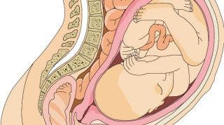 Cambios físicos tras el parto y el tratamiento de fisioterapia