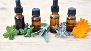 Fitoterapia para el dolor musculoesquelético: plantas medicinales con efecto antiinflamatorio
