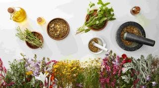 Fitoterapia en el Tratamiento del Dolor Musculoesquelético: ¿Qué Plantas Medicinales Ayudan?