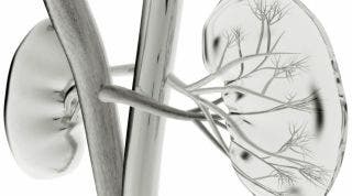 ¿Cómo repercute la disfunción renal sobre el sistema Músculo-esquelético?