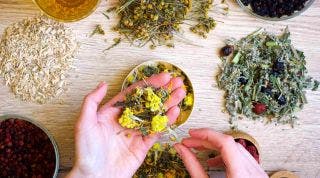 Fitoterapia para el dolor muscular y articular: plantas medicinales en el tratamiento de lesiones