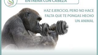 Entrena con cabeza