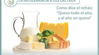 La intolerancia a los lácteos y derivados La intolerancia a los lácteos y derivados