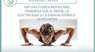 Voluntad y apoyo Voluntad y apoyo