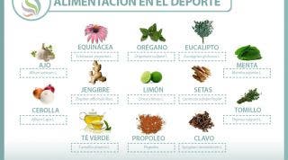 Plantas medicinales y antibióticos naturales