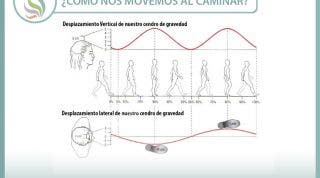 ¿Cómo caminamos? Variaciones del centro de gravedad al caminar