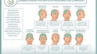 Los diferentes dolores de cabeza, conoce las características de cada cefalea Los diferentes dolores de cabeza, conoce las características de cada cefalea