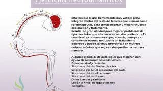 Neurodinámica o movilización del sistema nervioso. ¿Que es y para que sirve?