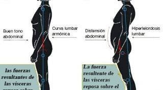 Observa la gran importancia de la correcta postura corporal para evitar lesiones y mejorar tu salud