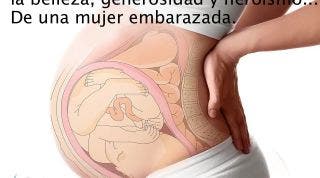 Los sacrificios desinteresados de la mujer embarazada Los sacrificios desinteresados de la mujer embarazada