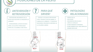 La relación entre la pelvis y la columna lumbar es evidente, te enseñamos el porqué y el como de esta conexión