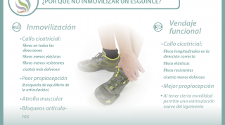 Esguince, por qué no inmovilizar Esguince, por qué no inmovilizar