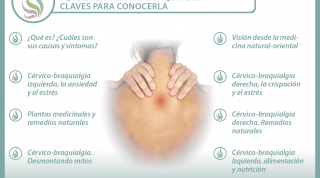 Todo lo que necesitas para conocer qué es la cervicobraquialgia, 14 interesantes vídeos sobre el tema