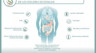 Como te alimentas y como te sientes está muy relacionado, 31 reveladores vídeos sobre alimentación y dolor Como te alimentas y como te sientes está muy relacionado, 31 reveladores vídeos sobre alimentación y dolor