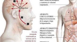 La risa y sus efectos beneficiosos en el cuerpo y la salud