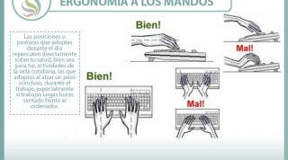 Ergonomía y buenos hábitos frente al ordenador