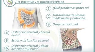  6 claves para entender la relación  entre el intestino  y el dolor de espalda