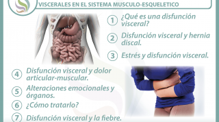 7 claves para entender cómo influyen las alteraciones viscerales en el sistema músculo-esquelético