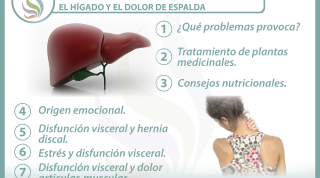7 claves para entender y tratar la relación  entre el hígado y el dolor de espalda