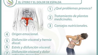  7 claves para entender la relación  entre el útero y el dolor de espalda