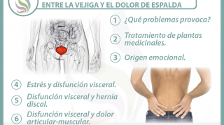  6 claves para entender la relación  entre la vejiga y el dolor de espalda