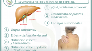 7 claves para entender la relación  entre la vesícula biliar y el dolor de espalda