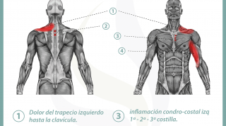 Relación entre el sistema cardio-circulatorio y el dolor de espalda