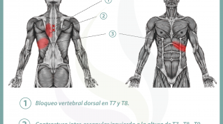 Relación entre el páncreas y el dolor de espalda.