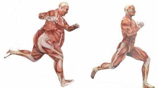 La perseverancia como factor fundamental del cambio. ¿Cómo fomentarla? La perseverancia como factor fundamental del cambio. ¿Cómo fomentarla?